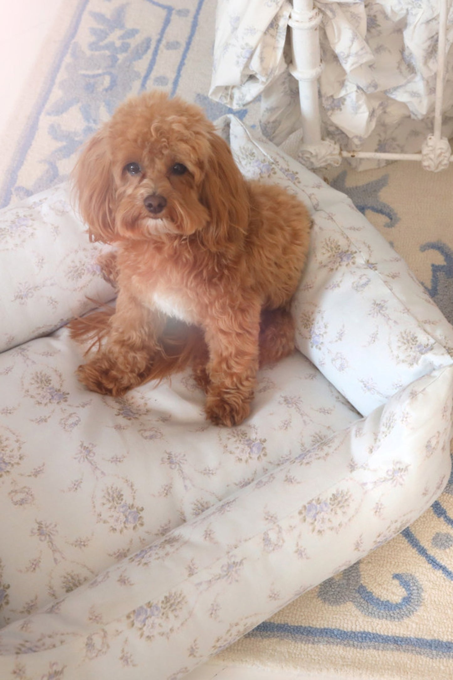 Printed Dog Bed