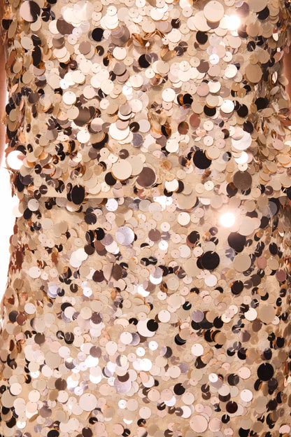 Aurorlia Sequin Mini Skirt