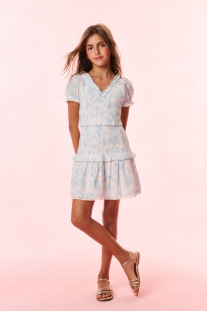 Girls Banson Cotton Toile Print Dress