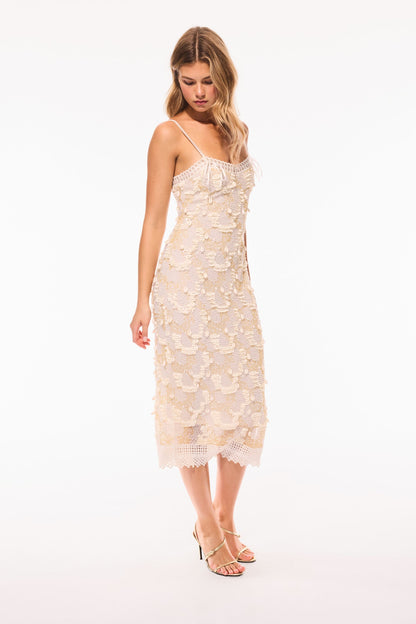 Harlette Beaded Shell Midi Dress