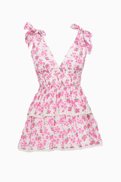Soira Summer Heirloom Print Mini Dress