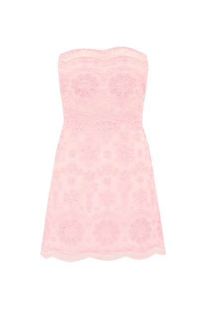 Vailia Organza Eyelet Mini Dress